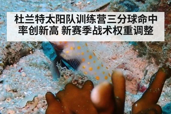 杜兰特太阳队训练营三分球命中率创新高 新赛季战术权重调整